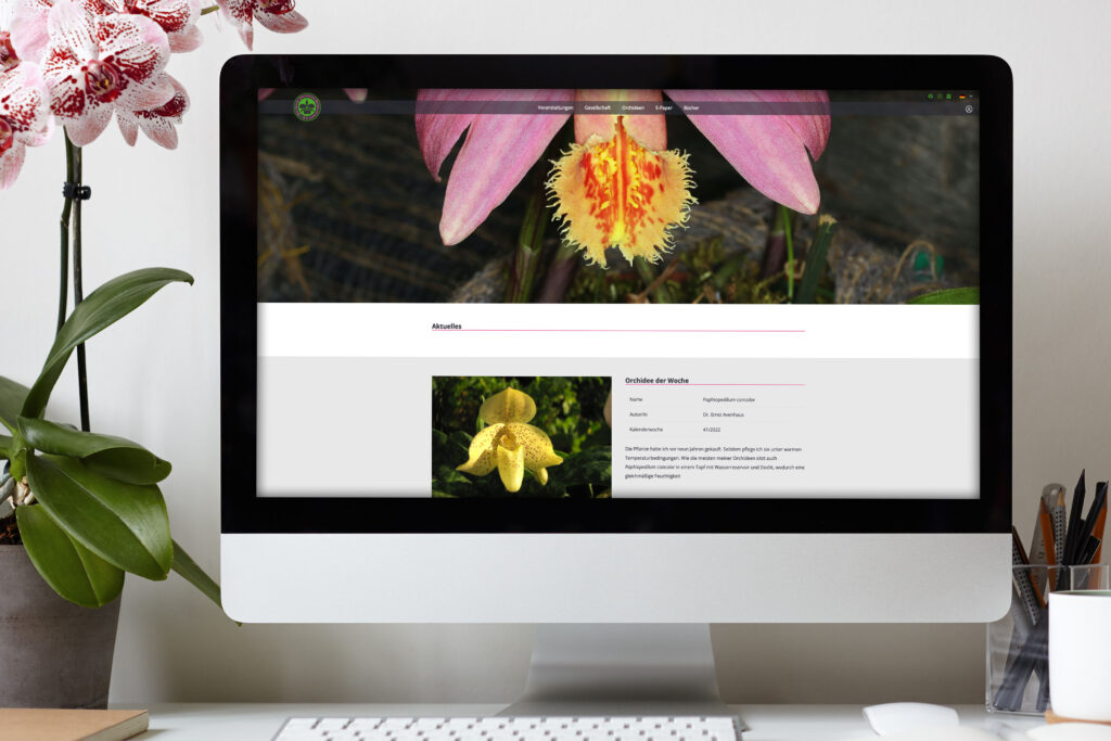 Neues Webdesign für Deutsche Orchideen-Gesellschaft e.V.