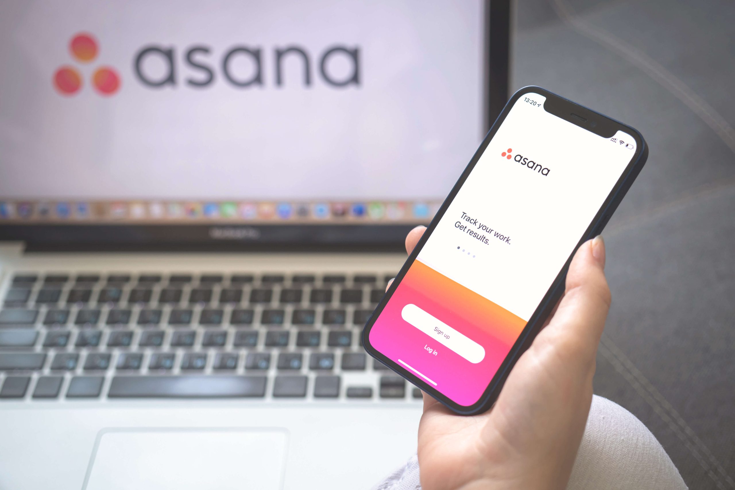 Signo Media Wissensdatenbank mit Fokus auf Asana als Tool für Projektmanagement und teamübergreifende Zusammenarbeit