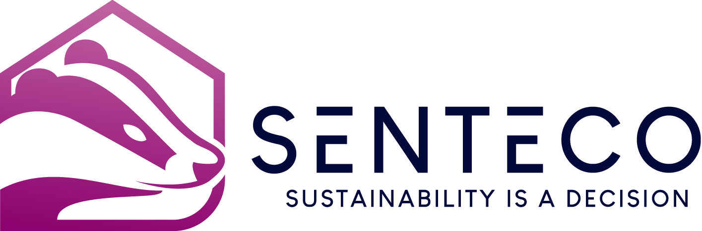 Logo von Signo Media mit Schriftzug auf weißem Hintergrund.